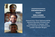 Democracy that Delivers #276 image of Sheilah Birgen with podcast hosts